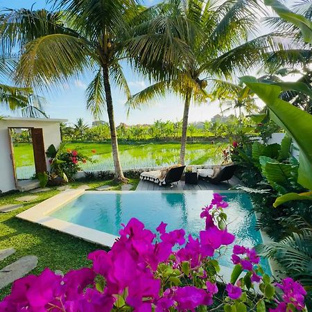 Villa Amara De'Vue Rice-Field Panoramic View W Pool Ig Убуд Екстериор снимка