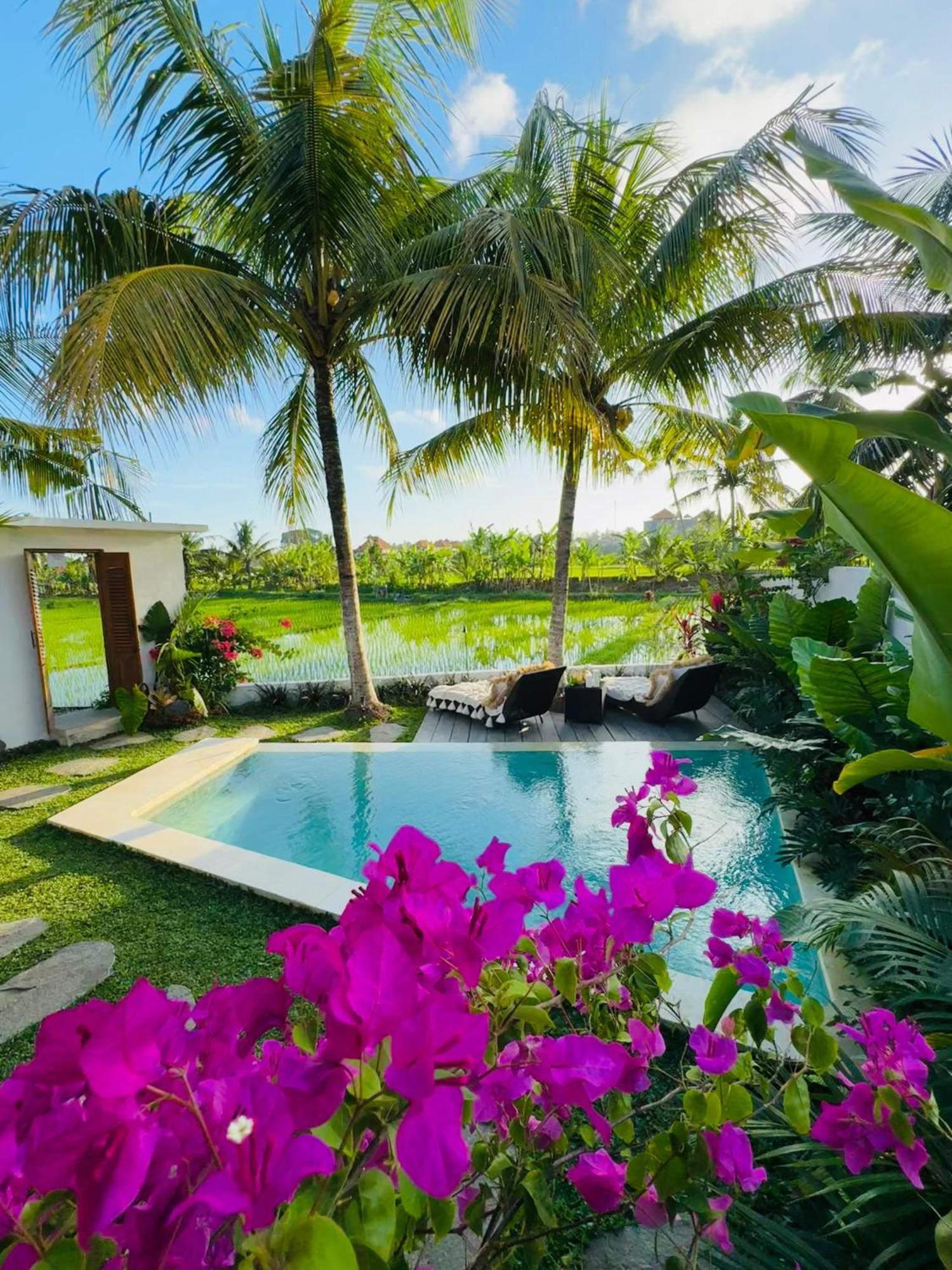 Villa Amara De'Vue Rice-Field Panoramic View W Pool Ig Убуд Екстериор снимка